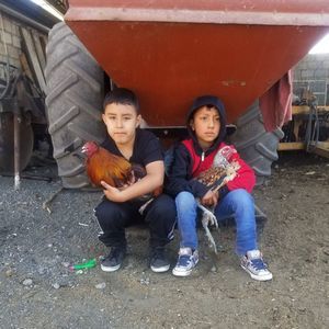 Meet your Posher, Jose